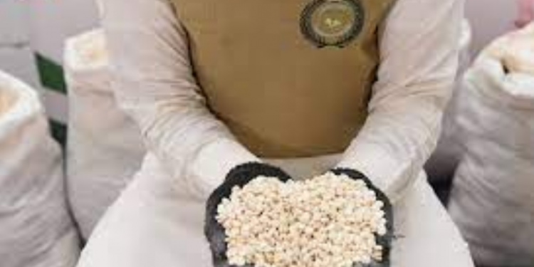 Saudi authorities foil major drug smuggling bid