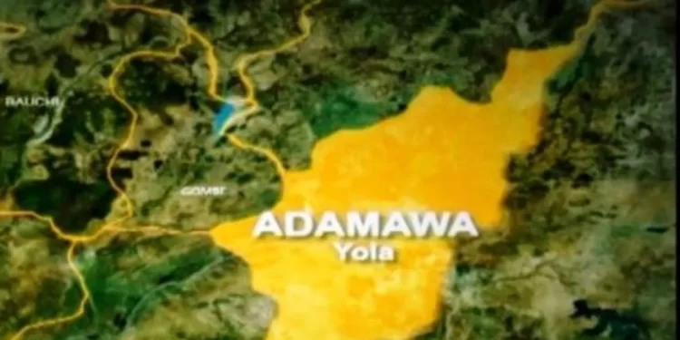 Adamawa: Police arrest 87 kidnappers, rescue 20 victims in three months