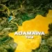 Adamawa: Police arrest 87 kidnappers, rescue 20 victims in three months