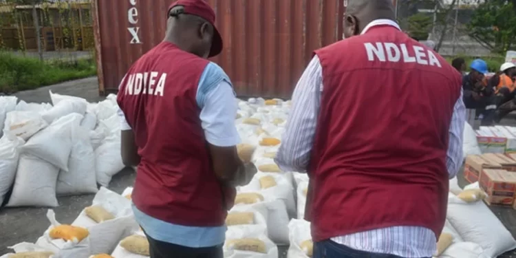 NDLEA arrests 218 suspects, seizes 1,471kg drugs in Imo