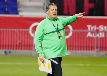 Super Eagles need time to flourish – Peseiro