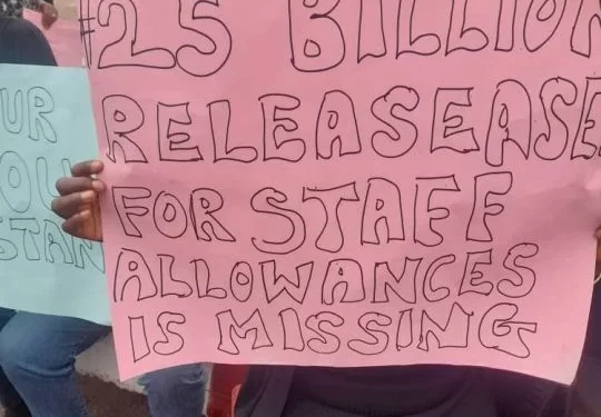 National Assembly Staffers protest unpaid salaries…