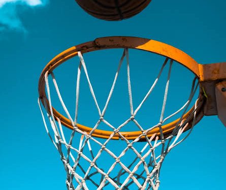 THE NIGERIA BASKETBALL FEDERATION