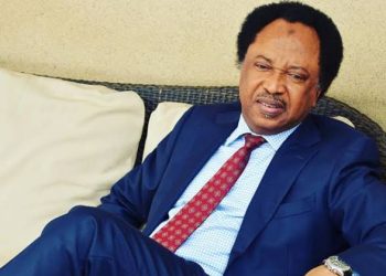 Shehu Sani: Nyesom Wike, a great Asset to PDP