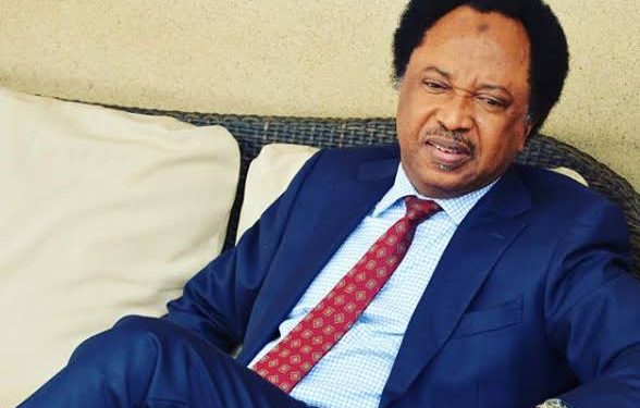 Shehu Sani: Nyesom Wike, a great Asset to PDP