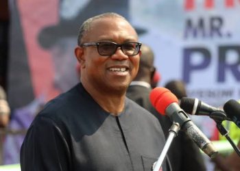 We will support Peter Obi come 2023- PDP CHIEFTAIN