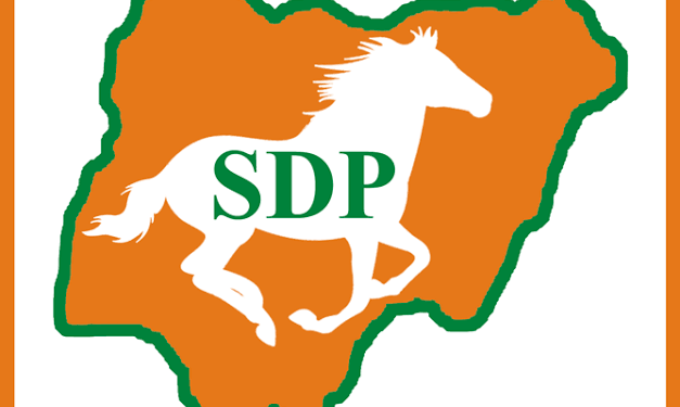 Adewole Adebayo wins SDP presidential ticket