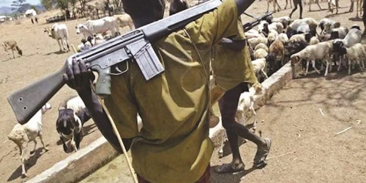 Two Killed as Suspected Herdsmen Attack Enugu Community