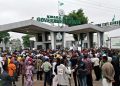 ASUU strike: Labour continues protests, slams politicians again