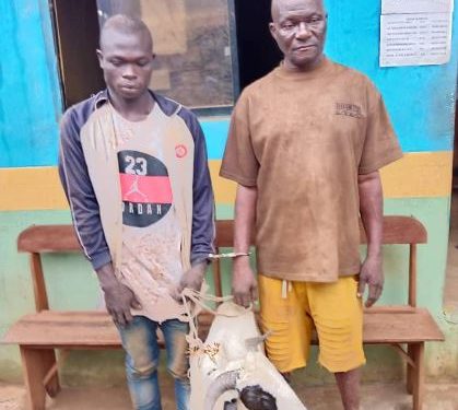 Police Arrest Two Men For Stealing Sallah Ram In Ogun (Photo)