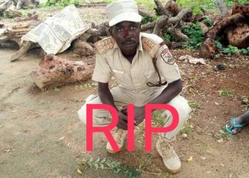 Bandits attack Immigration base in Jigawa, kill one officer, injure two others