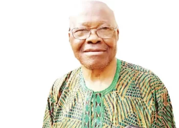 Employing foreign mercenaries to fight terrorism illegal – Jemibewon