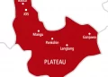 Woman delivers quadruplets in Plateau, seeks help