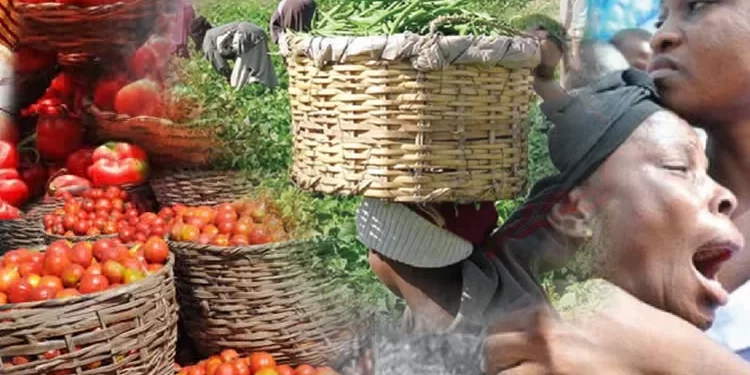 Rising food prices to worsen, terrorists sack farmers