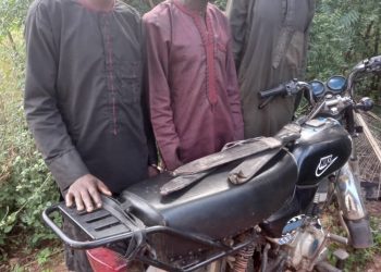 Police arrest three suspected kidnappers in Ogun forest, rescue victims