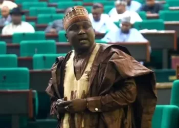 2023: I’ve flagged off APC campaigns with my 4 wives, 28 children, says Doguwa, Reps Leader