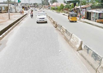 Lagos church dogs killed after biting passerby to death