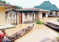 Tears, pain as 300 flood-submerged Anambra communities fear food scarcity