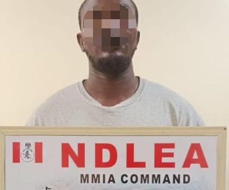 NDLEA uncovers cannabis, tramadol in crayfish sack