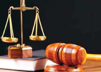 Oyo park chairman arraigned for destroying Tinubu’s billboard