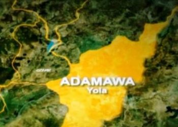 Expelled Adamawa senator not entitled to re-election – Court