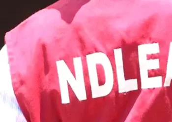 NDLEA storms Edo forests, razes 317-ton cannabis warehouses, arrests 4