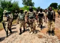 Forest Sanity: Troops neutralize 10 bandits