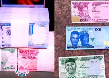 CBN allays rural dwellers’ fears about access to new naira notes