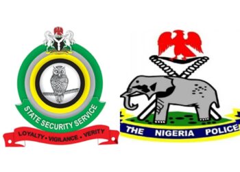 Adamawa: Lawyer, CSOs demand overhaul of police, DSS