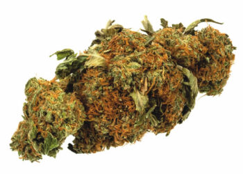 Singapore hangs prisoner for smuggling 1kg of cannabis