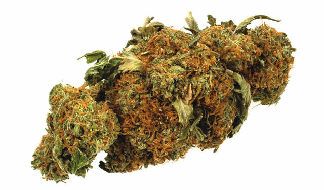 Singapore hangs prisoner for smuggling 1kg of cannabis