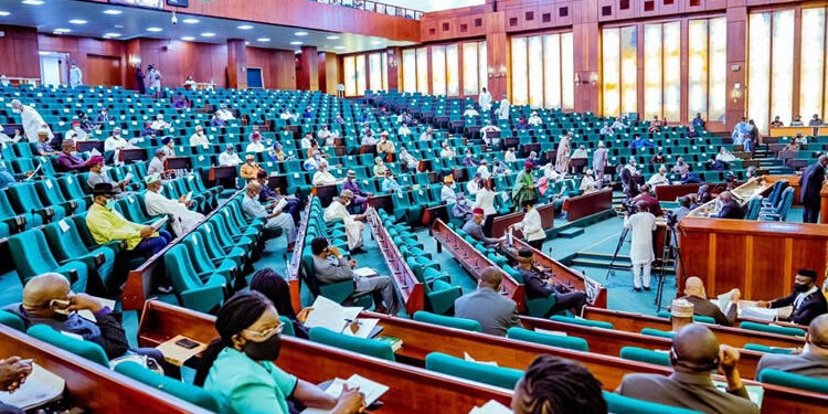 Anti-Tinubu passenger: Reps demand tighter security at airports