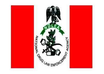Lesser Hajj: NDLEA arrests two with 14.4kg cocaine