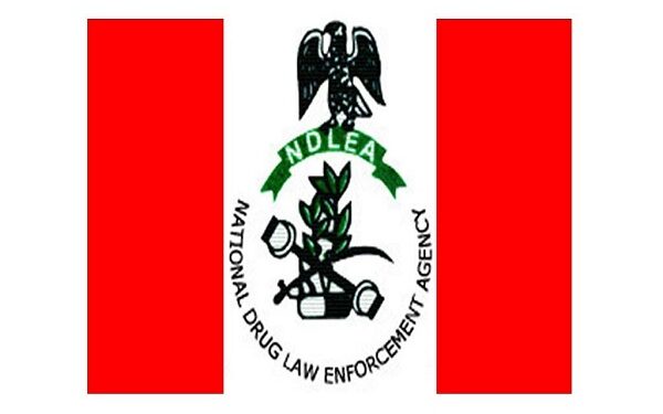 Lesser Hajj: NDLEA arrests two with 14.4kg cocaine