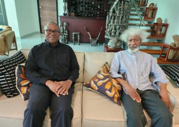 Reports Obi visited me for reconciliation inappropriate, diversionary — Soyinka