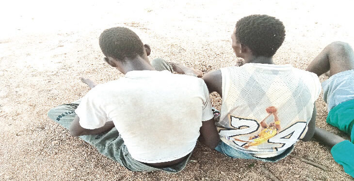 Police arrest Osun twins for cultism