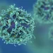 New test detects cancer a year before tumours grow
