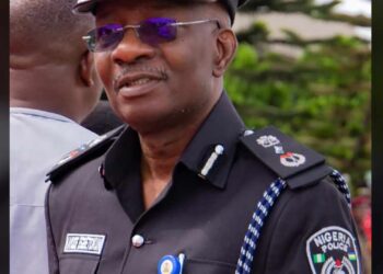 Ex-IGP, Alkali backs Egbetokun