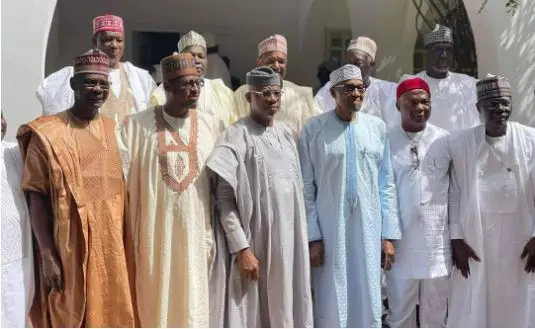 Ganduje, Sanwo-olu, Uzodinma, other governors visit Buhari in Daura