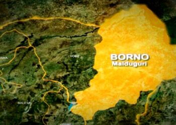 Muslims, Christians pray for peace, rainfall in Borno