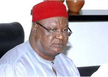 Why I visited Tinubu at state house — Anyim