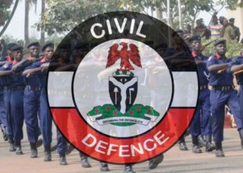 Over 100 illegal refineries destroyed, 200 arrested – NSCDC
