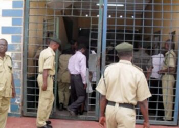 Governors pardon over 500 inmates in eight months