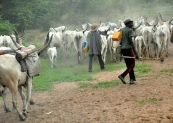 Suspected Herdsmen Invade Farm In Iwajowa LGA, One Killed, Many Injured