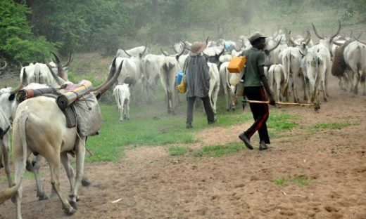 Suspected Herdsmen Invade Farm In Iwajowa LGA, One Killed, Many Injured
