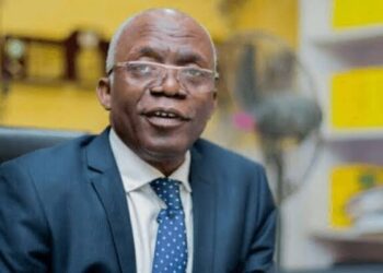 Femi Falana Warns African Nations Against Neo-Colonial Influence