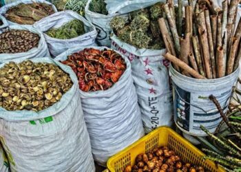 Nigeria’s Integrative Medicine Association Calls for Traditional Healthcare Board