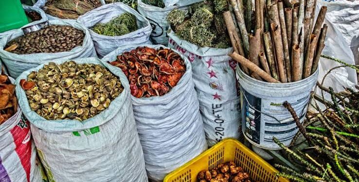Nigeria’s Integrative Medicine Association Calls for Traditional Healthcare Board