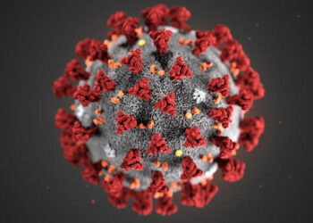WHO Warns: COVID-19 Remains a Significant Threat Despite Decreased Attention