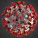 WHO Warns: COVID-19 Remains a Significant Threat Despite Decreased Attention